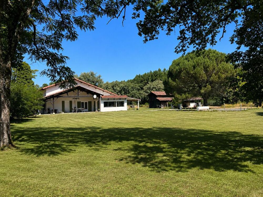 Propriété en pierre 290 m² avec gîte, dépendances, piscine et 4 ha