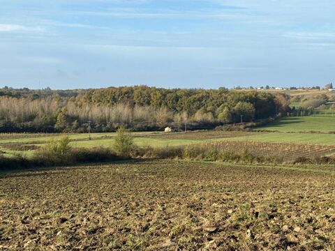 Terres d'Exception : domaine forestier, vignes et p&acirc;turages au coeur des coteaux de l'Entre-Deux-Mers 55000 33540 Castelviel