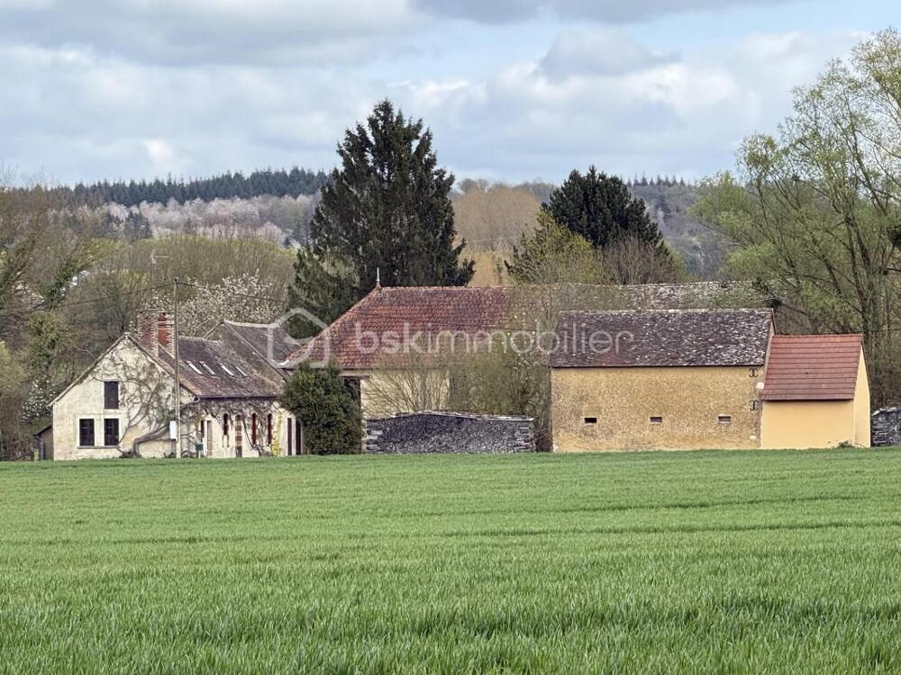 Grande longère avec dépendances sur parcelle de 4700 m²  Nogent-le-Bernard (35 min du Mans)