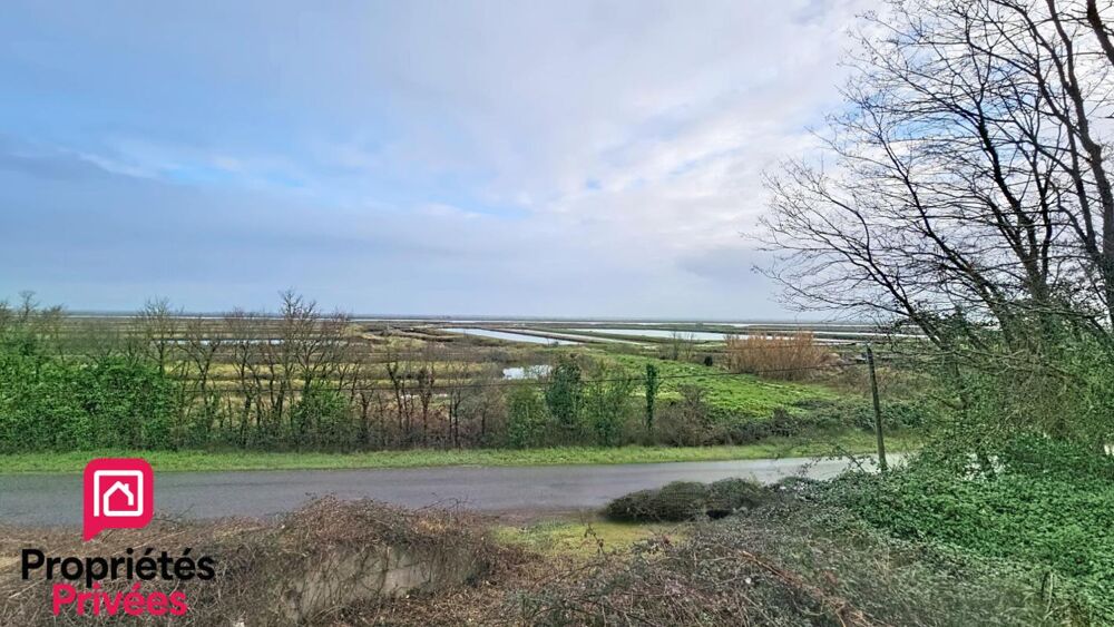 Vente Terrain Terrain  de loisir Chaillevette 1186 m2 Chaillevette