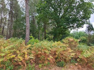  Terrain à vendre 40000 m²