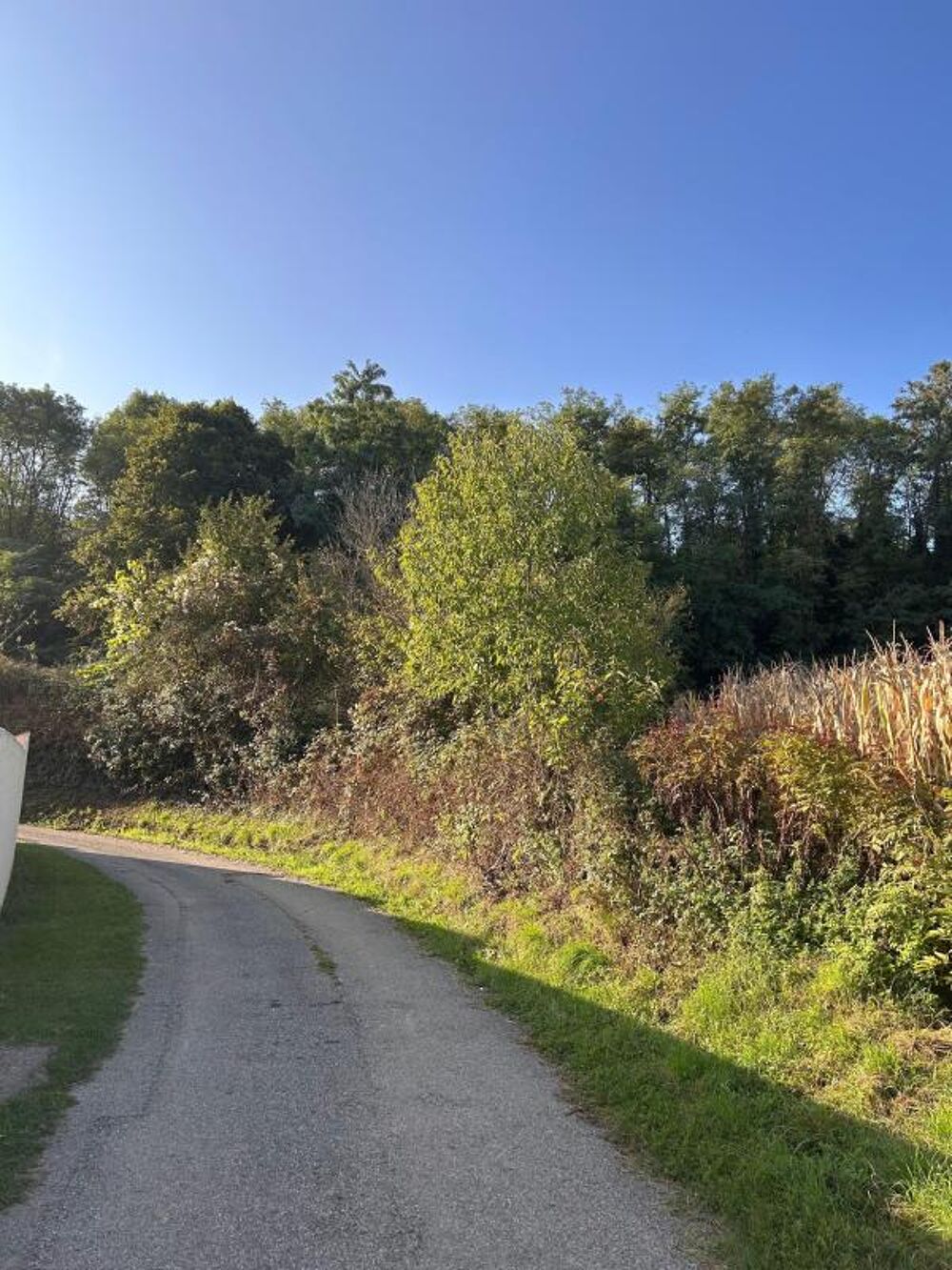Vente Terrain Terrain constructible  de 720 m² et 479 m² non constructible Saint sorlin en valloire