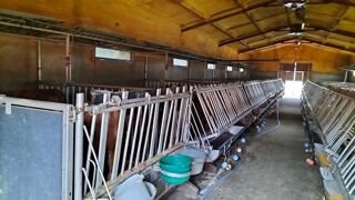  Maison � vendre 5 pi�ces 230 m�