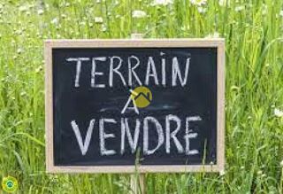  Terrain  vendre 1000 m