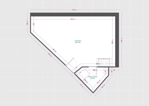  Appartement � louer 1 pi�ce 17 m�