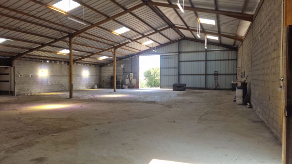Vente Propriété/Château Bâtiments agricole avec studio à rénover - 19 hectares Saint cirice