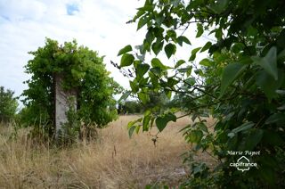  Terrain � vendre 1398 m�