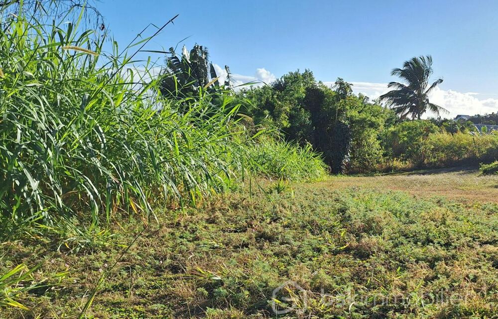 Vente Terrain Terrain de 900 m² avec vue sur l'océan – Sainte-Marie, proche Saint-Denis Sainte marie