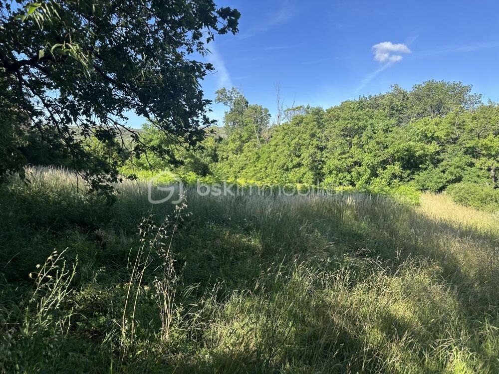 Vente Terrain Magnifique terrain de 3955 m2 dont 1400 m2 constructible Saint montan