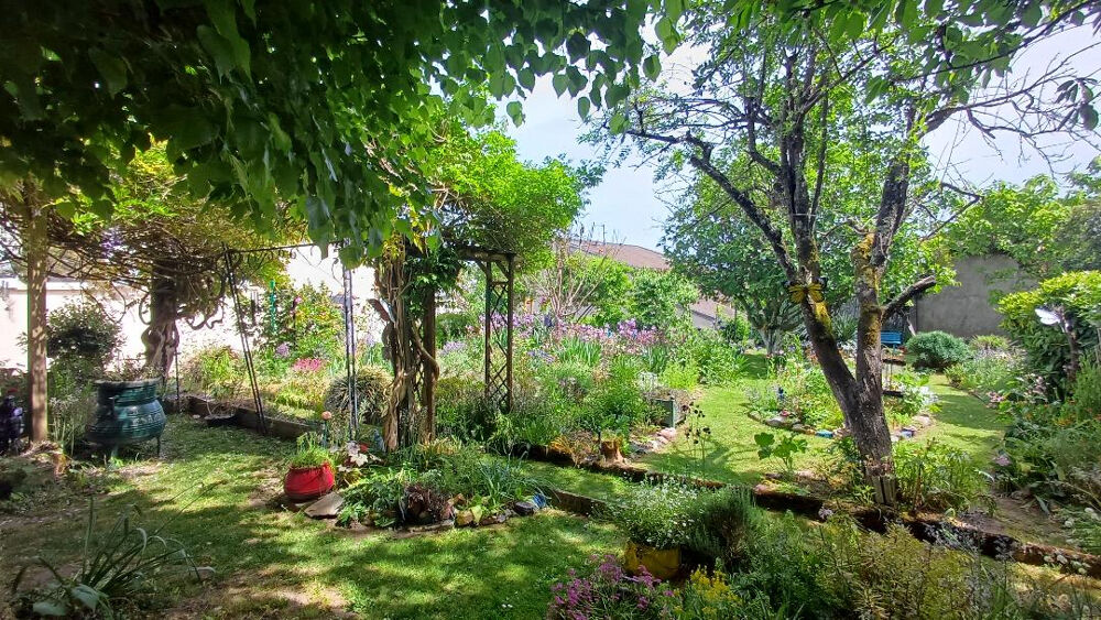 Vente Immeuble Immeuble Limoges 12 pièce(s) 285 m2 Limoges
