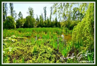  Terrain � vendre 24565 m�