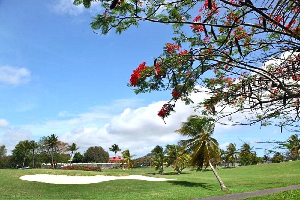 Vente Terrain EN EXCLUSIVITE - UNIQUE TERRAIN A VENDRE VUE MARINA ET GOLF - SAINT FRANCOIS (971) Saint francois