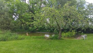  Maison  vendre 6 pices 170 m