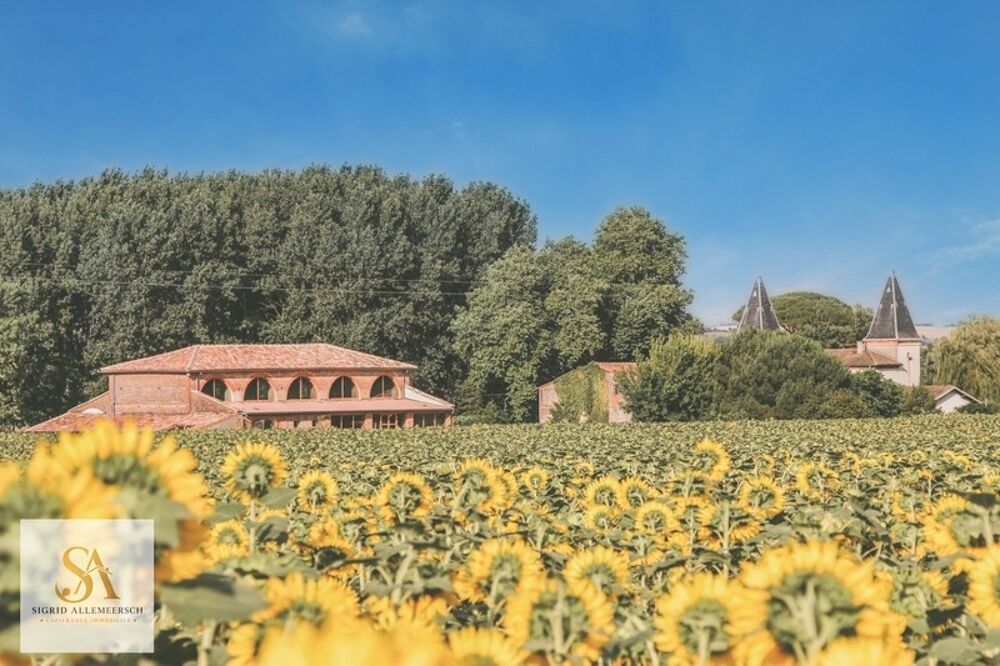 CHÂTEAU DE CARACTÈRE AVEC POTENTIEL ÉVÉNEMENTIEL  SUD TOULOUSE