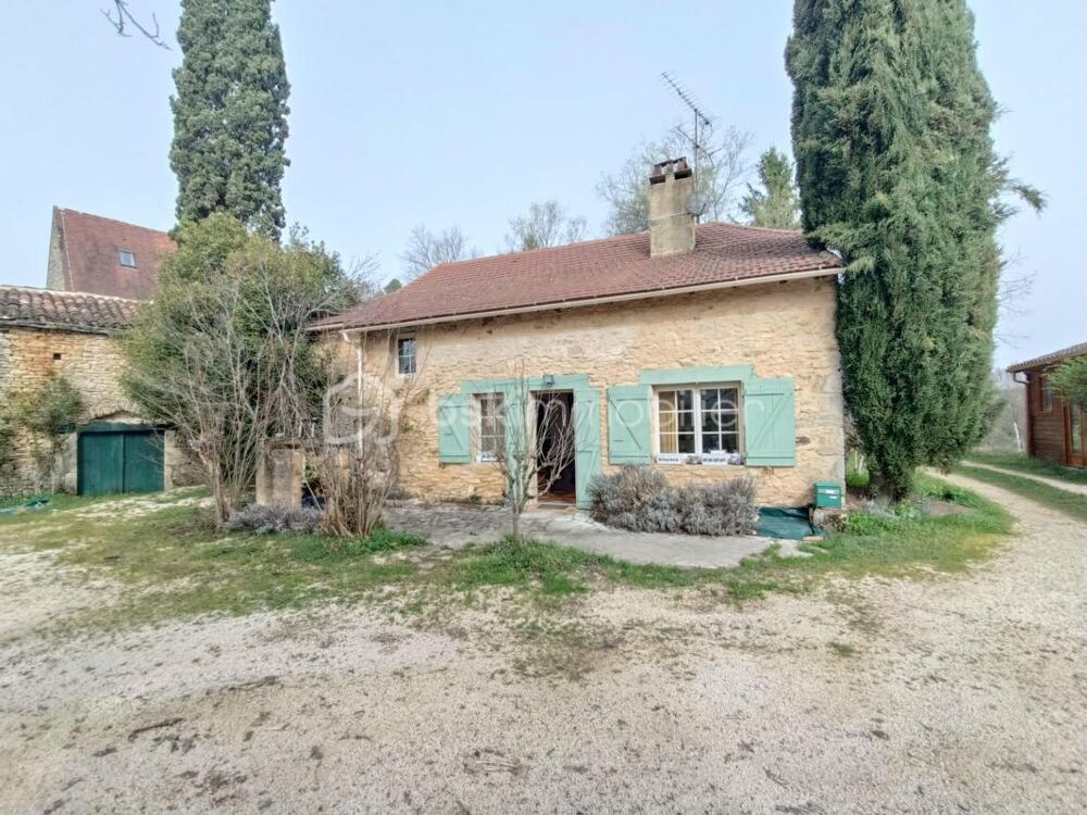 Vente Maison Ensemble Immobilier comprenant 2 maisons avec Piscine + Annexes sis sur 1 Terrain de 2.5 Hectares à Prats du Périgord Prats du perigord