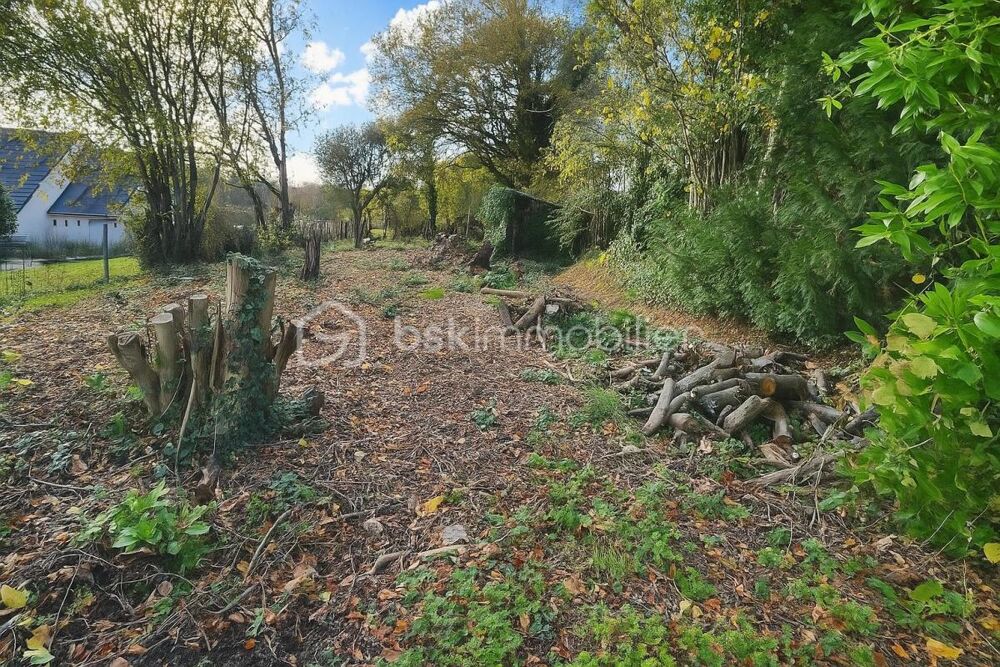 Vente Terrain À VENDRE – Terrain constructible en zone AH (hameau constructible) Chanteloup