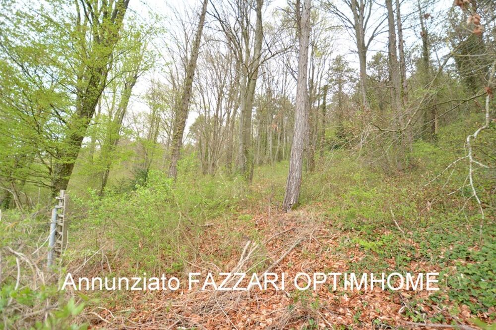 Maison individuelle 230 m² habitables (5 chambres)  Terrain 6 341 m²  Environnement nature  Dun-sur-Meuse