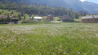  Terrain � vendre 870 m�