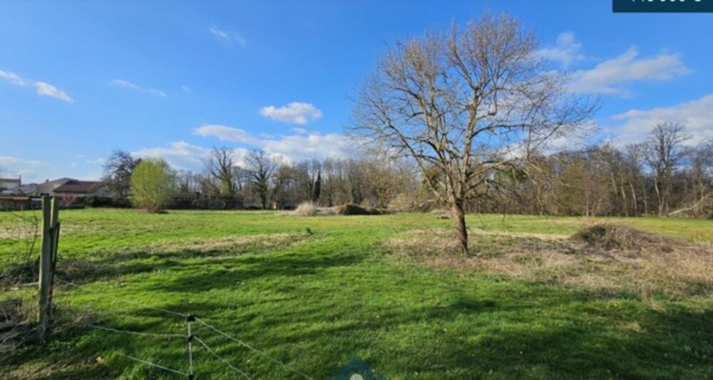 Propriete à vendre sur 2 ha à PUY GUILLAUME (63)