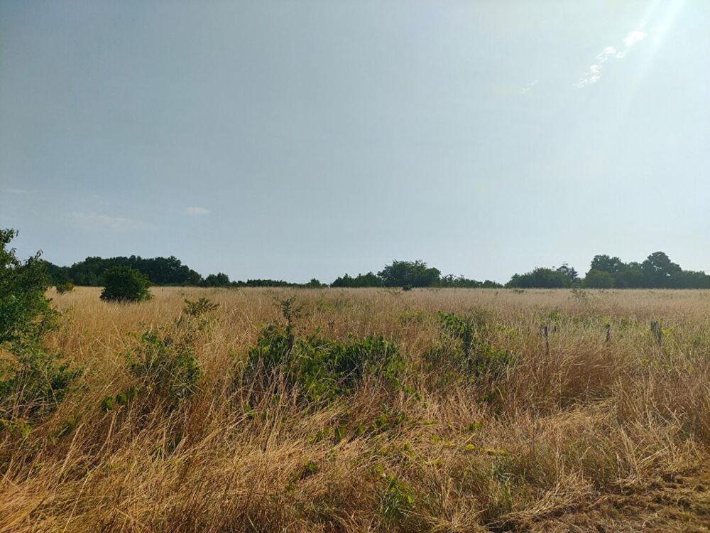 Vente Terrain TERRAIN AGRICOLE 5.60 HECTARES Sainte eulalie