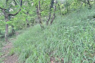  Terrain � vendre 978 m�