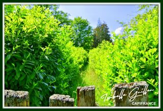  Terrain � vendre 24565 m�