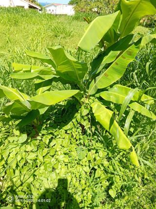  Terrain � vendre 556 m�