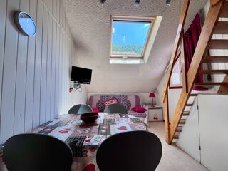  Duplex/triplex à vendre 1 pièce 20 m²