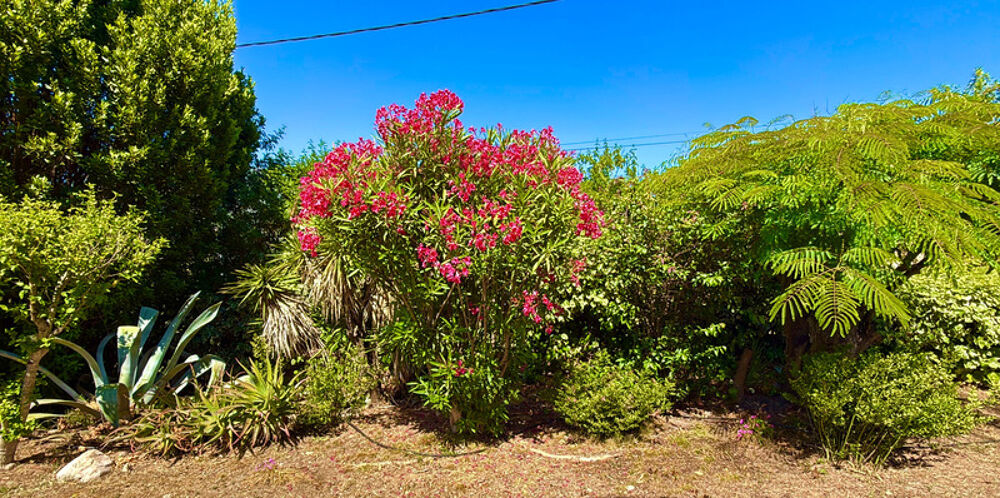 à vendre  Maison Eccica-Suarella (20117)