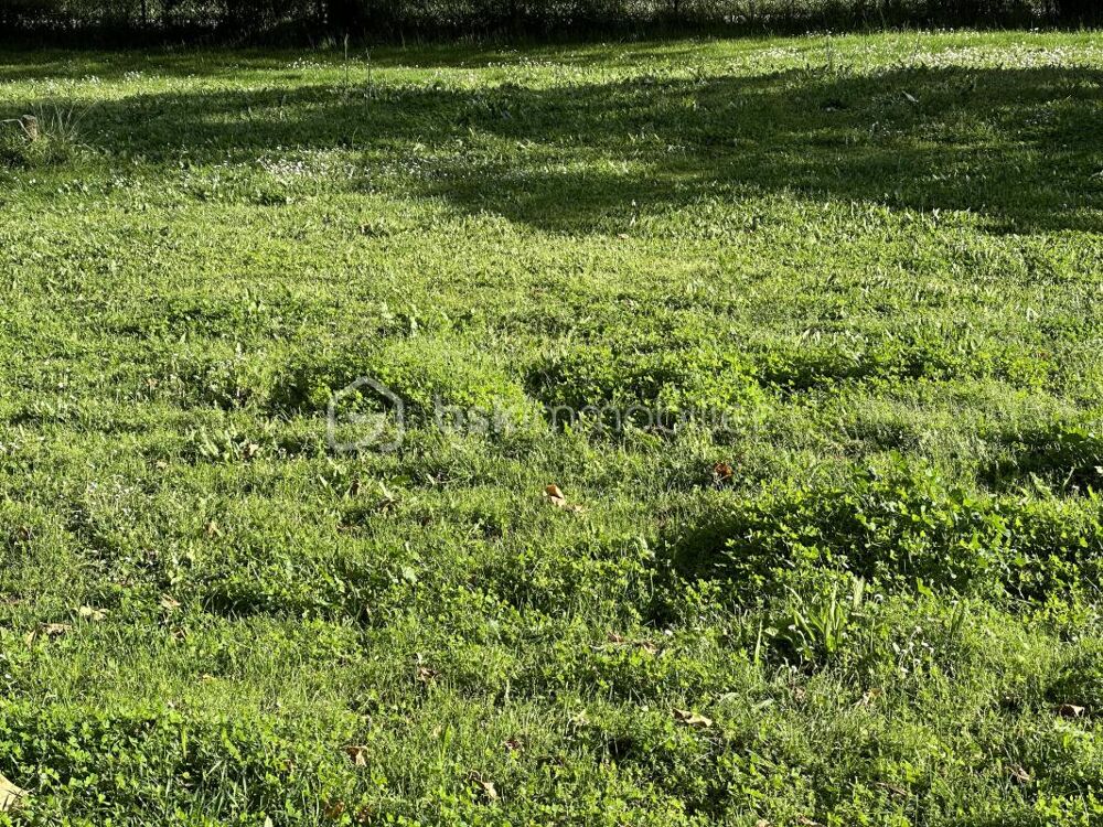 Vente Terrain TERRAIN CONSTRUTIBLE VIABILISE CENTRE VILAGE Pujaudran