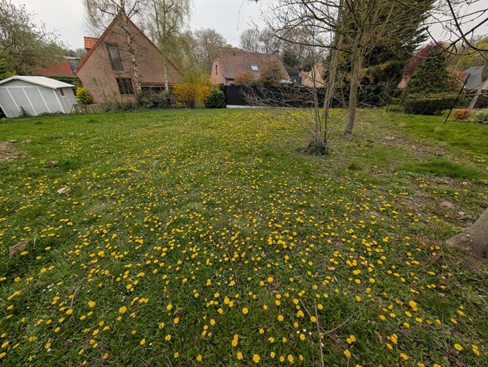 Vente Terrain Terrain Haubourdin 571 m2 Haubourdin