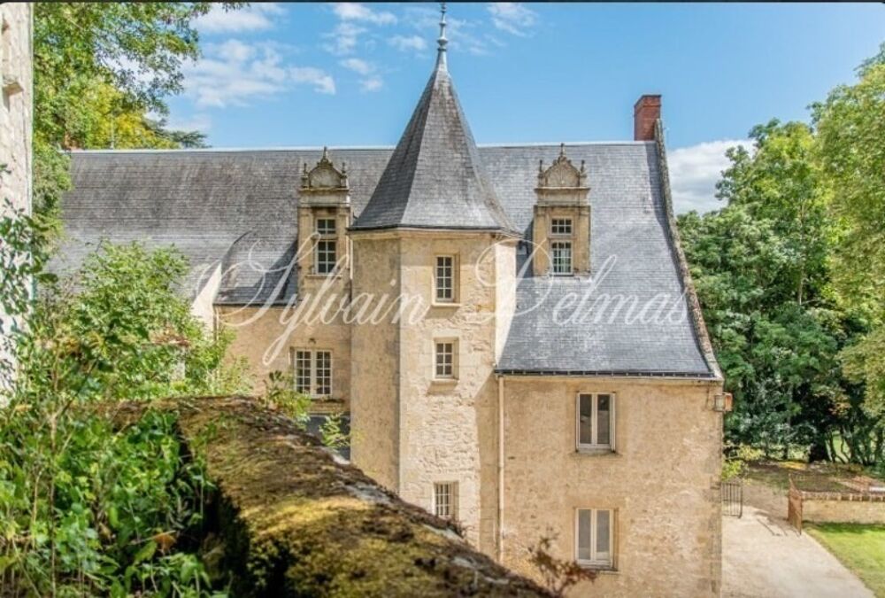 Propriete à vendre 18 pièces proche de TOURS (37)
