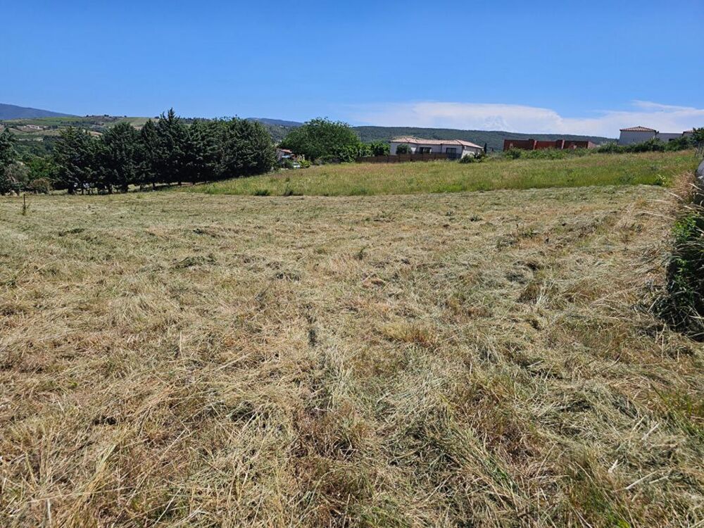 Vente Terrain Terrain constructible de 5 201 m² avec vue dégagée , Projet de division en 4 lots Limoux