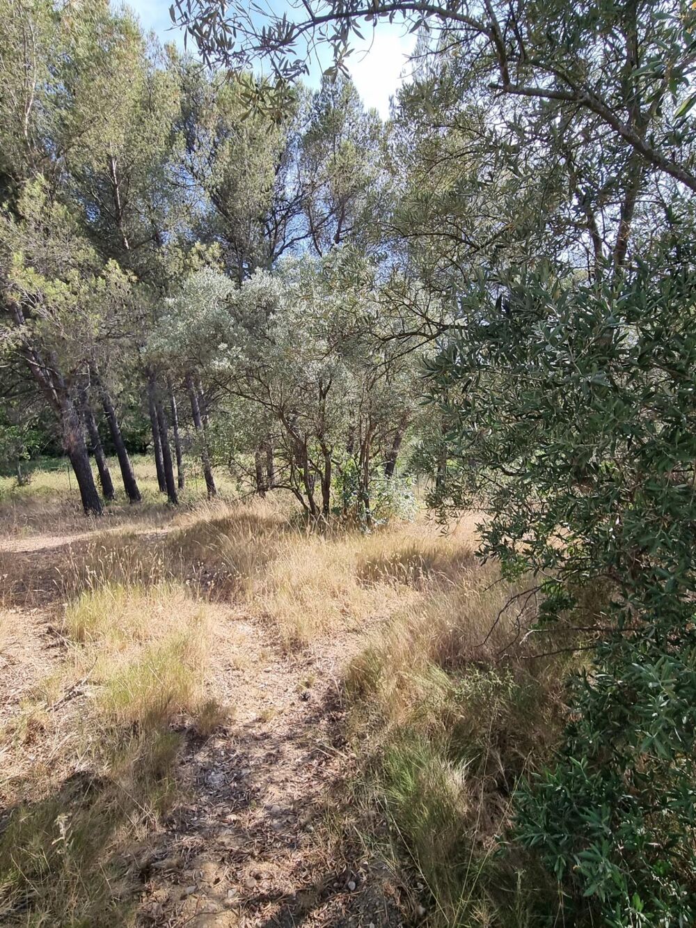Vente Terrain Terrain à vendre proche centre ville AIX EN PROVENCE (13) Aix en provence