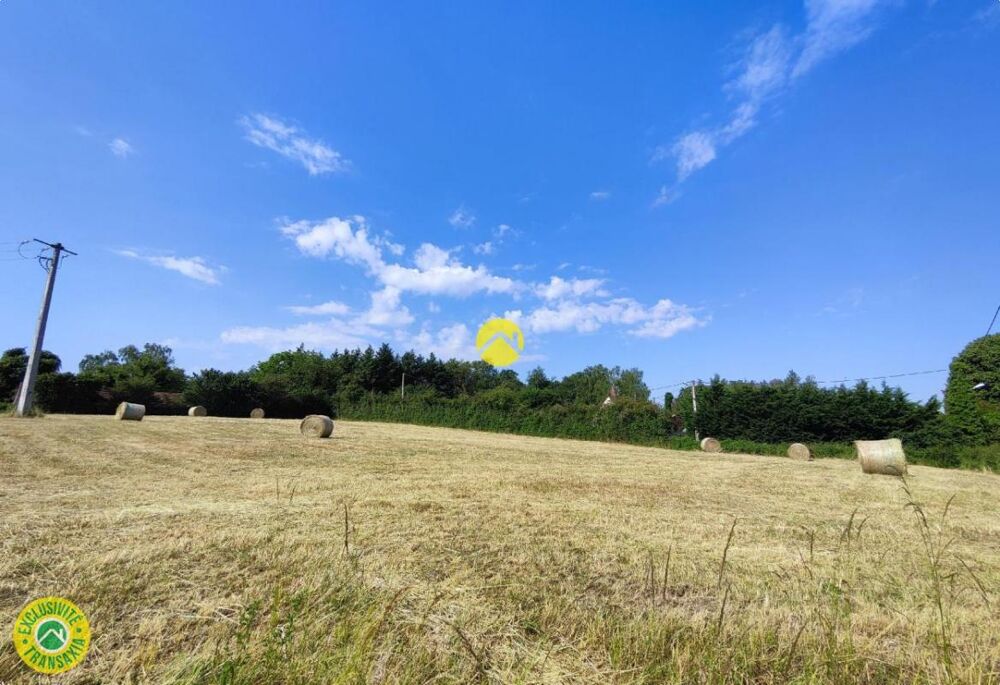 Vente Terrain TERRAIN PLAT 1800m² Torteron