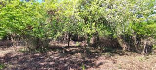  Terrain  vendre 2975 m