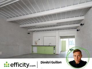  Loft � vendre 2 pi�ces 55 m�