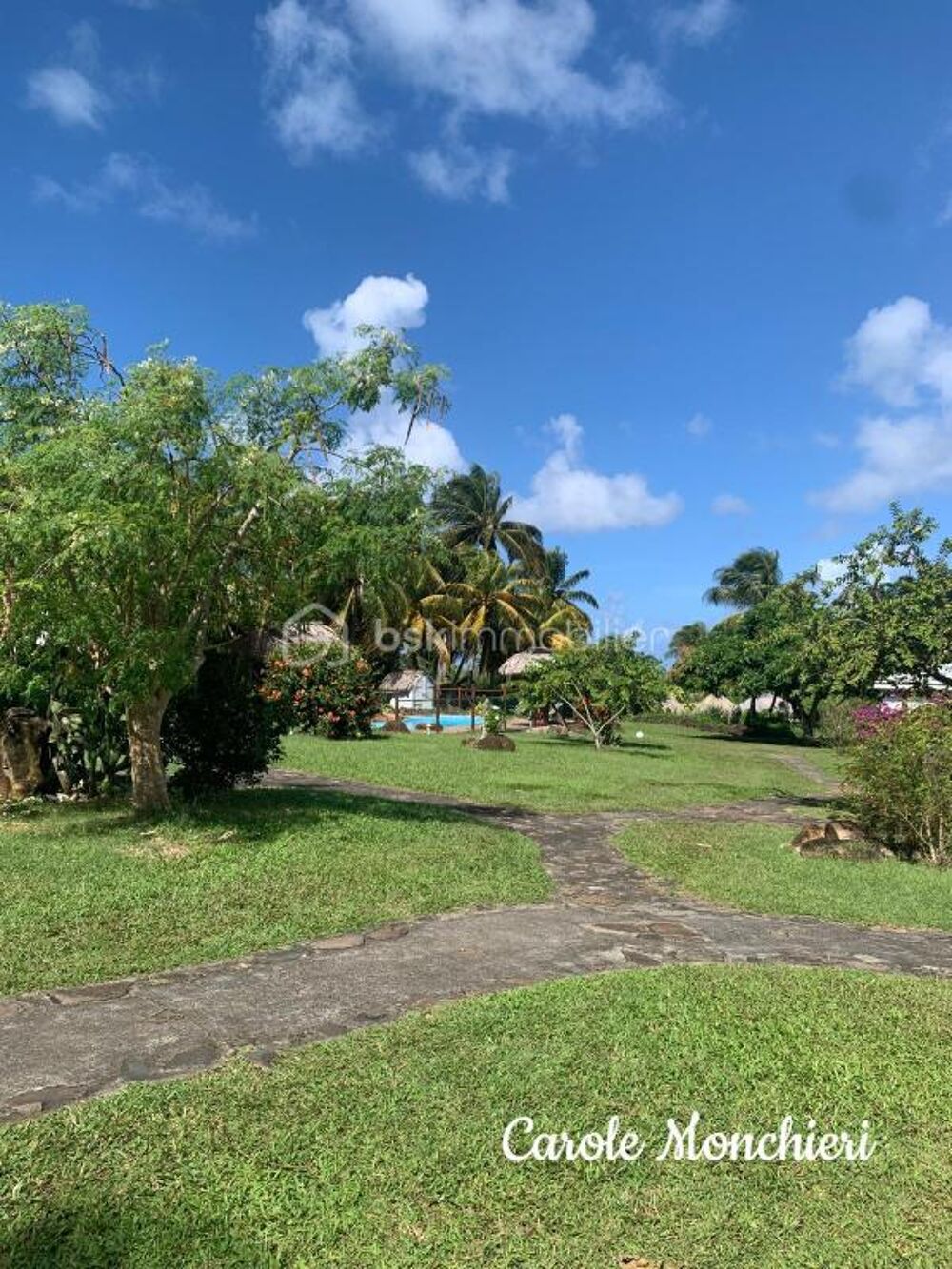 � vendre  Propri�t�/ch�teau Sainte-Rose (97115)