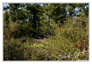  Maison � vendre 6 pi�ces 170 m�