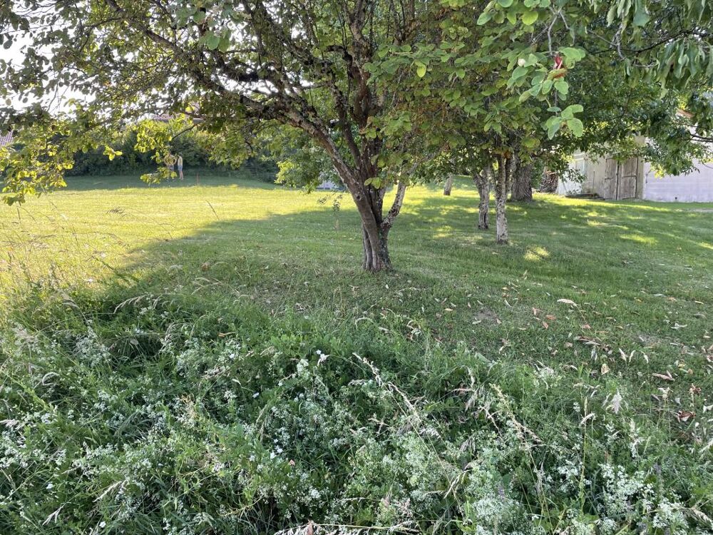 Vente Maison Un projet qui a de la hauteur à Cuvat ! Cuvat