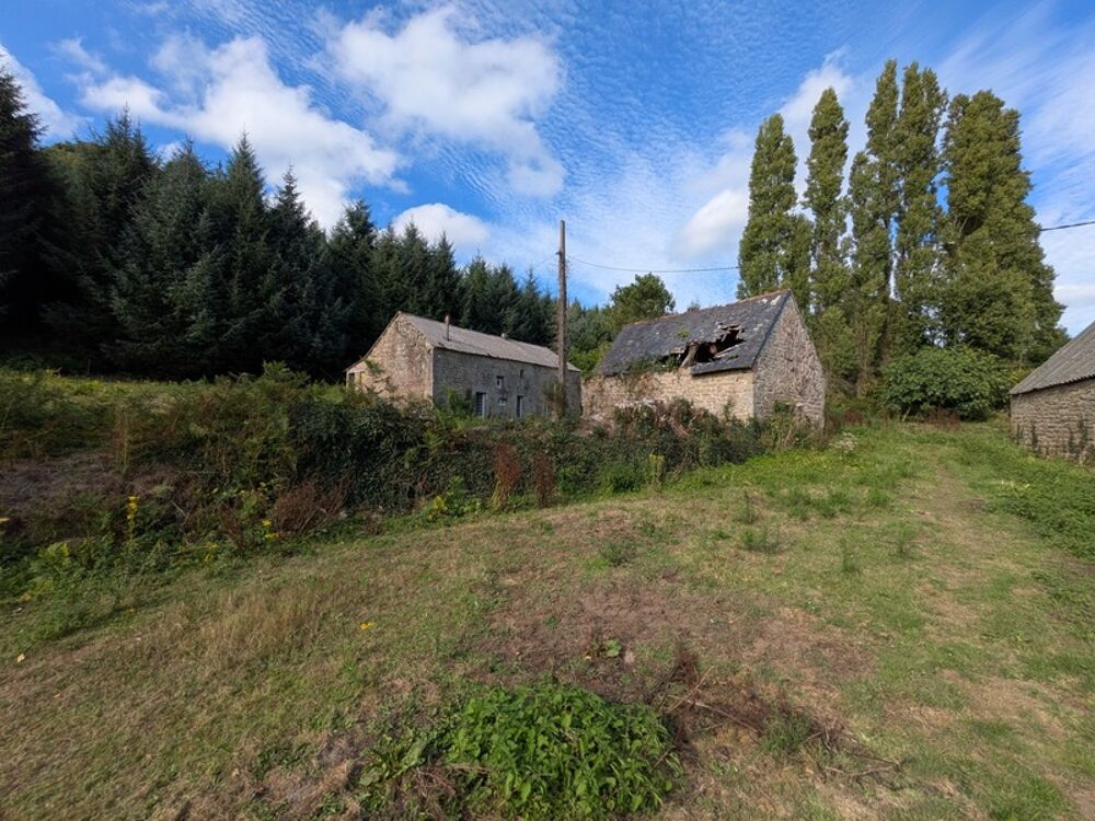 Ensemble de 3 Longères de 430m² au total en pierre a rénover avec appentis et grange parcelle de 8000 m² envrion