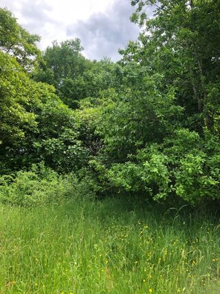  Terrain � vendre 1762 m�