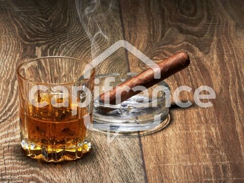   Dpt Vendée (85), à vendre  PROCHE LONGEVILLE SUR MER Bar - Tabac - Loto - Presse 