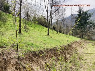  Terrain � vendre 65135 m�