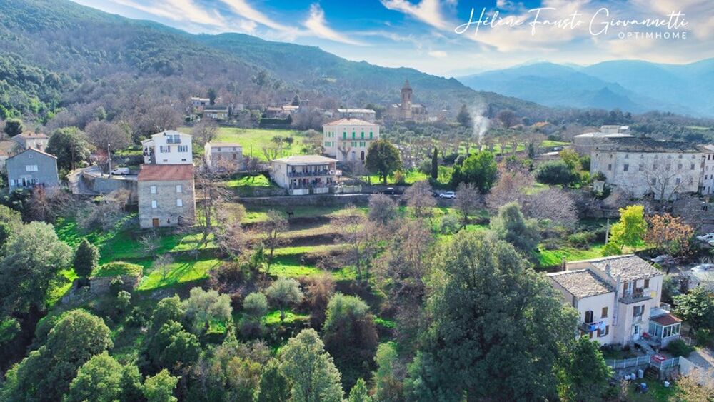Vente Terrain TERRAIN CONSTRUCTIBLE 1984 m2 à RAPALE Rapale