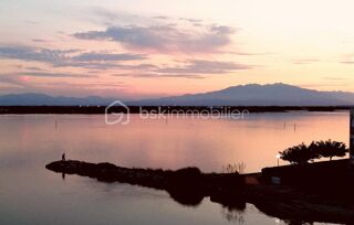  Duplex/triplex � vendre 2 pi�ces 30 m�