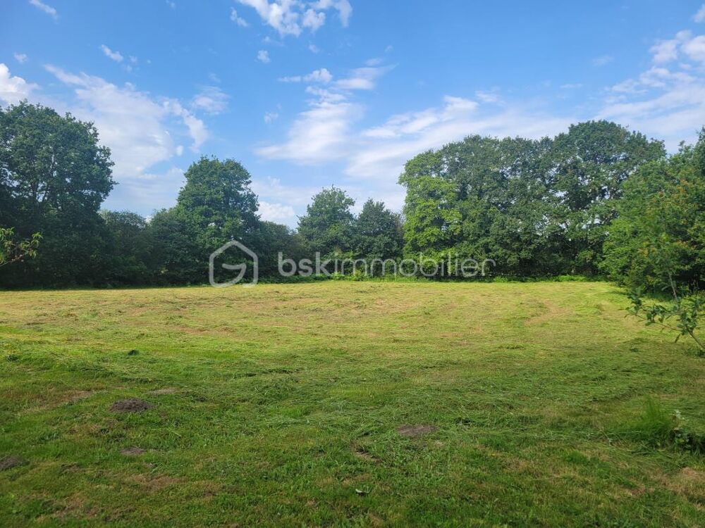 Maison avec 22 772 m² de terrain - calme absolu - sans vis-à-vis