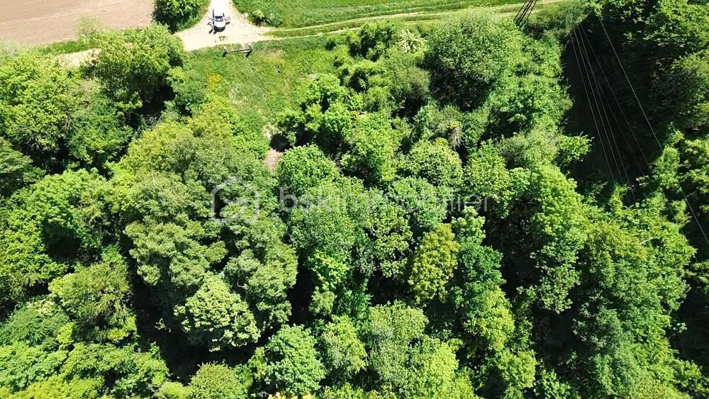 Vente Terrain Terrain de loisir 5 625 m² Sedan