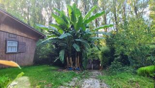  Maison � vendre 4 pi�ces 50 m�