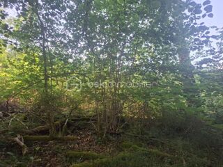  Terrain à vendre 3321 m²